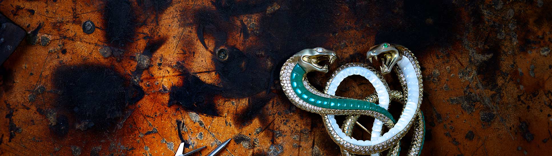 Newsletter background