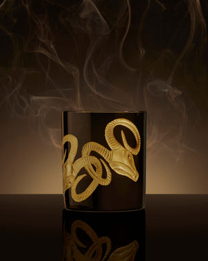 Ramification Double Old Fashioned Tumbler