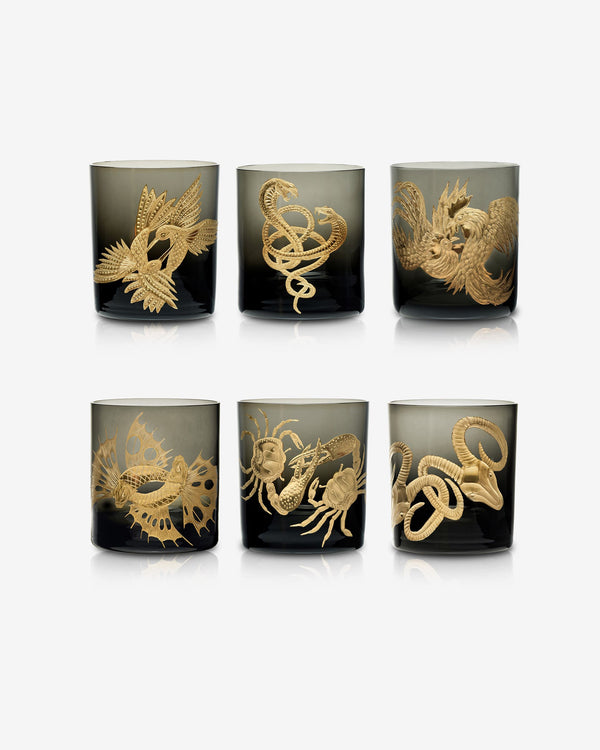 Waltz of the Wild Set of 6 Double Old Fashioned Tumblers