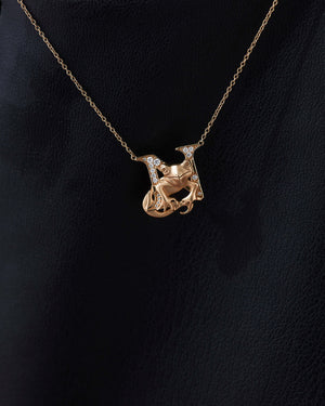 N is for Newt Necklace