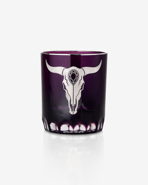 Tequila Lore Cowhorn Tumbler - Amethyst
