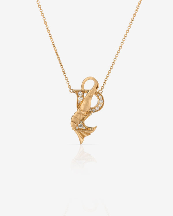 P is for Prawn Necklace