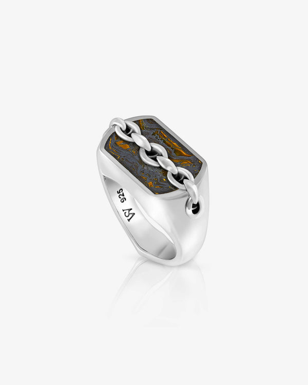 Men’s sterling silver Inline Tiger Iron Signet Ring by Stephen Webster with tiger iron inlay and thorn motif