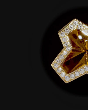 Sex & Drugs & Rock & Roll Ring