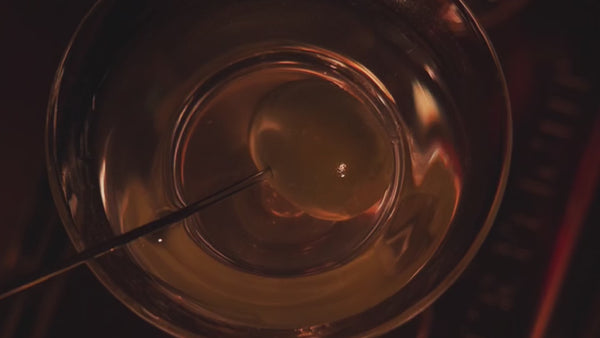 Stephen Webster No Regrets Lounge cocktail bar entrance and interior in Mayfair, London